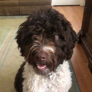 Meet your Posher, Liza